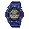 Casio - WS-1300H-2AVDF